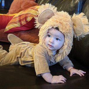 Anne Geddes Leo the Lion Costume 0-6 months